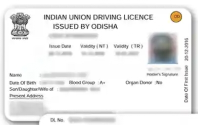 Odisha Driving Licence (DL)